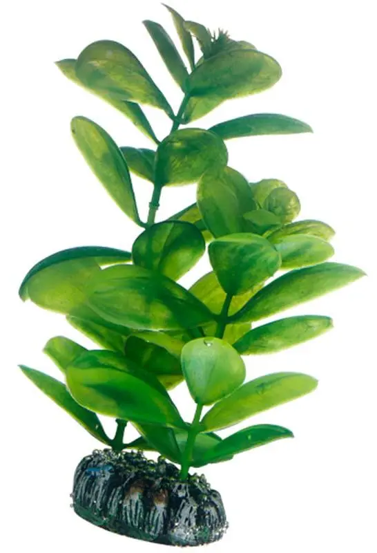 Hobby Saururus 16 cm
